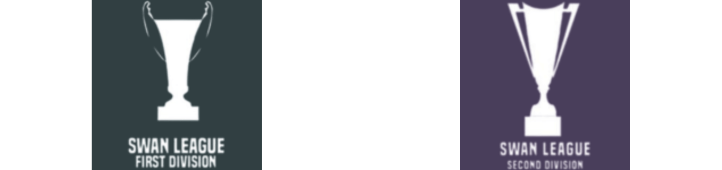 Swan logos banner
