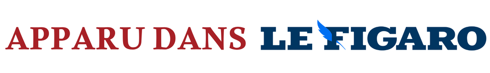 Bannière LE FIGARO